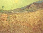 Vincent Van Gogh Wheat Fields with Reaper at Sunrise (nn04) Spain oil painting reproduction